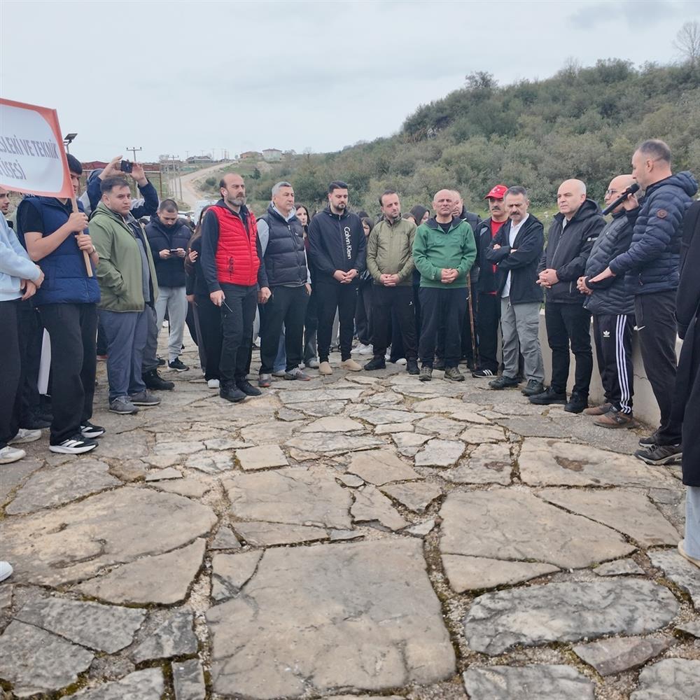 672677282 1796642365041552 1639187998547535212 n.jpg